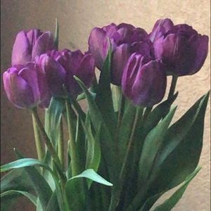 Meet your Posher, Glenny